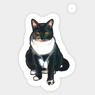 Judgmental Tuxedo Cat Sticker